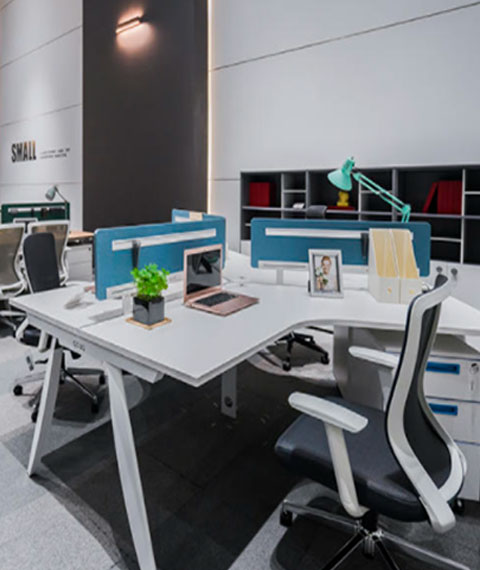 Open Office & Reception — View 2